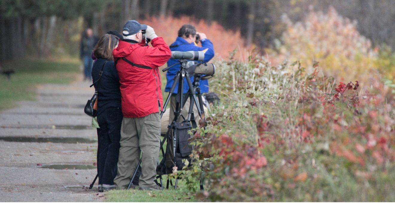 photo_birders