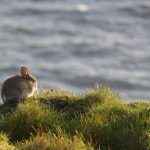Climat et biodiversité : protection du territoire 
