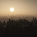 Été record et action climatique Smog feux de forêts. Crédit Pixabay