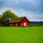 Décroissance vers un développement durable. Crédit-photo : Damir K, Pexels