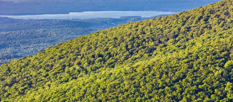 quebec-nature-1000
